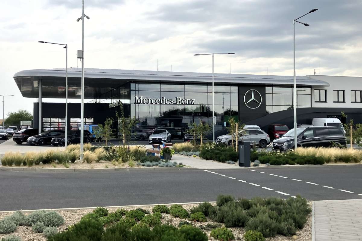 Mercedes Hoffman a Žižák, Zapy.